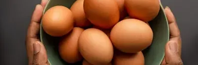 Farm-Fresh Eggs