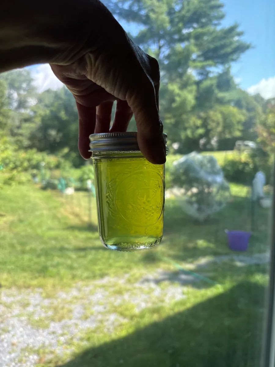 Mint Jelly
