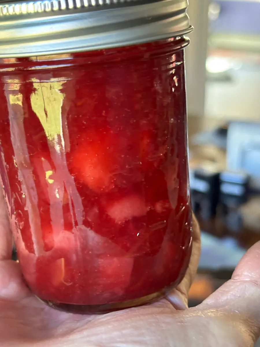 Spiced Cranberry Pear Apple Compote